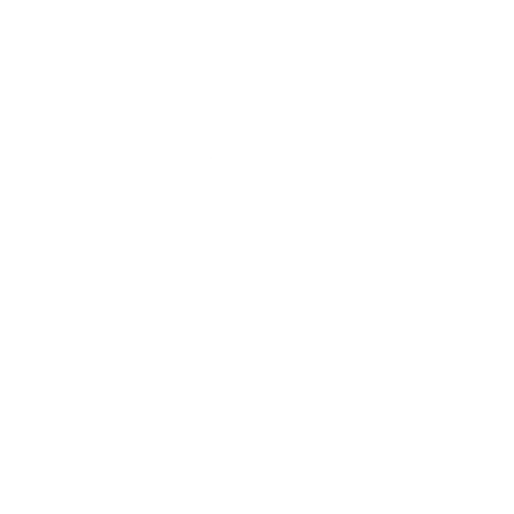 Logo VMZ